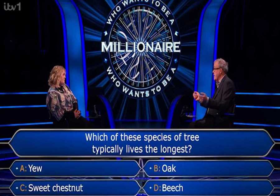 Challenges of Decision-Making: A Millionaire Contestant's Costly Gamble
