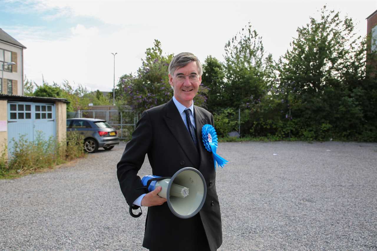 Discontinued Reality Show Featuring Jacob Rees-Mogg and Family Signals Contradictory Reception