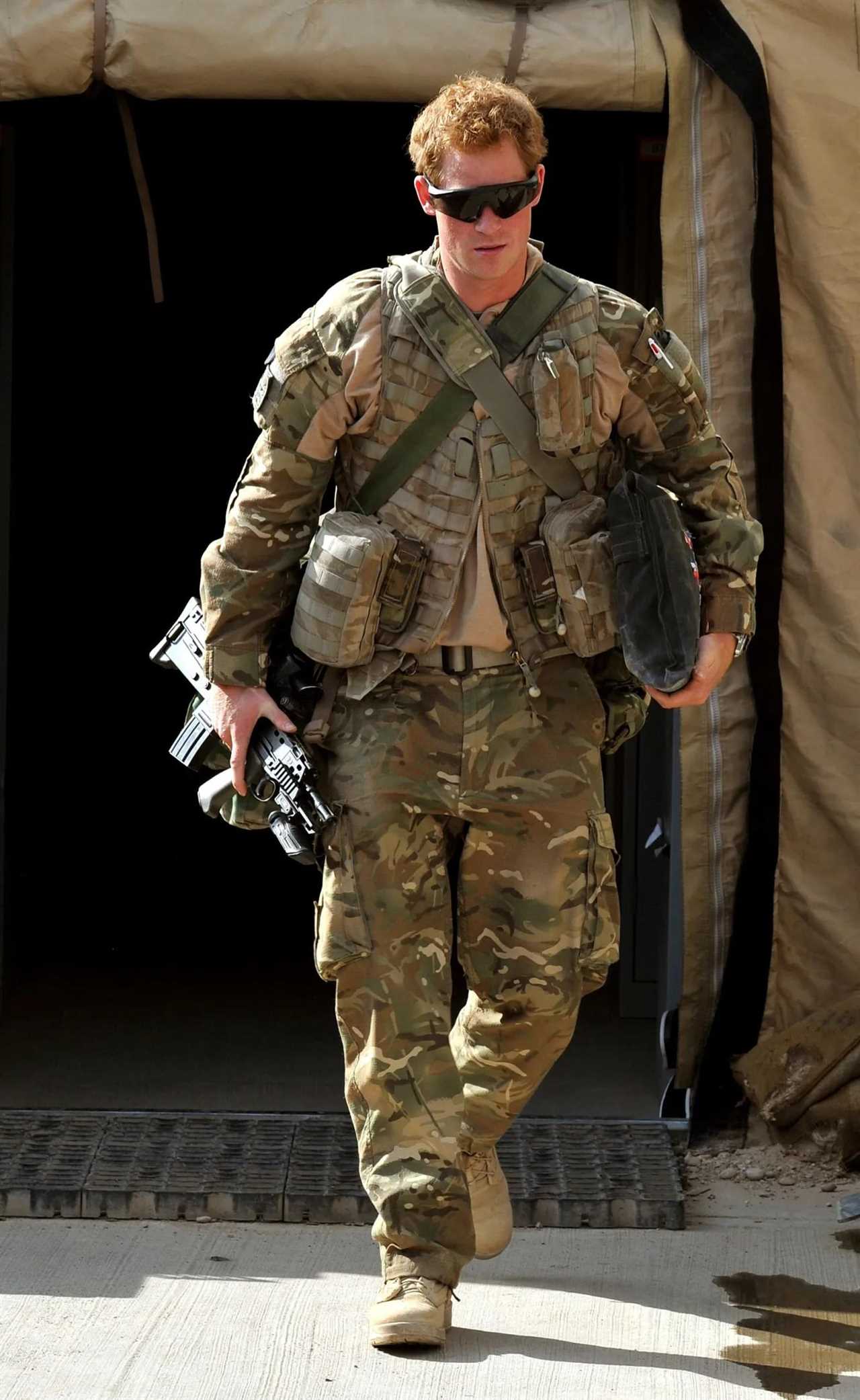 Prince Harry's Multilingual Tribute on Germany's Inaugural Veteran's Day