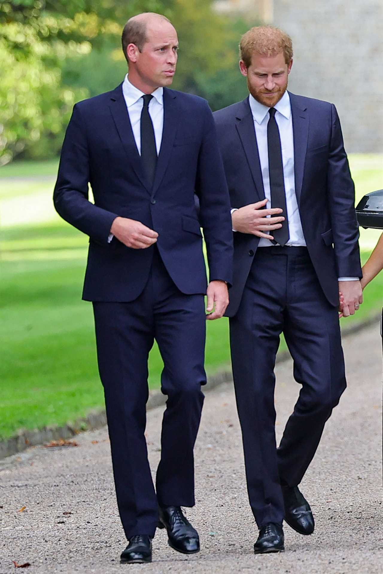 Prince Harry’s Unveiling of More Royal Secrets Unveils Uncertain Future, Experts Suggest