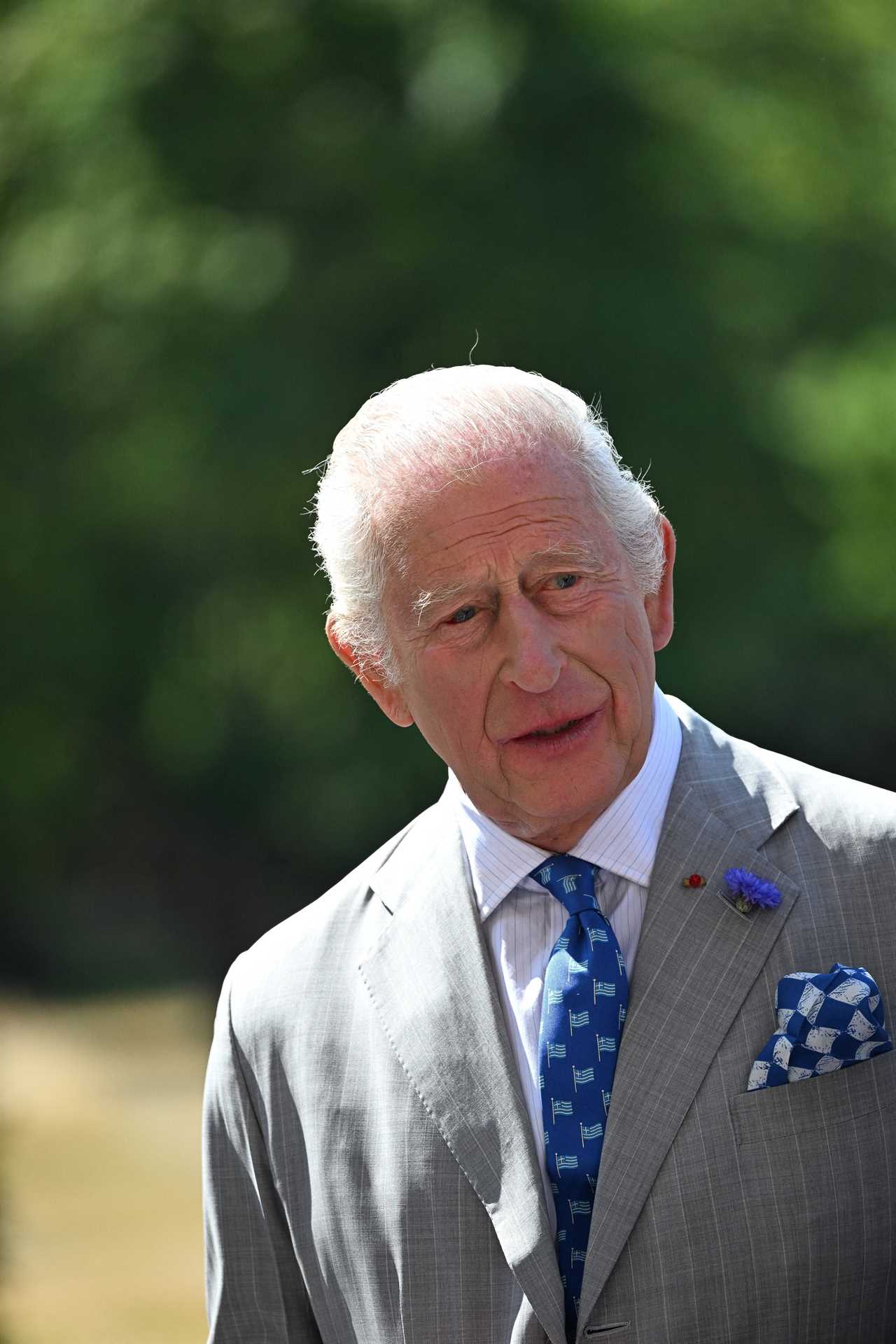 Prince Harry's Uncertain Future: A Quest for Reconciliation Amidst Royal Rifts
