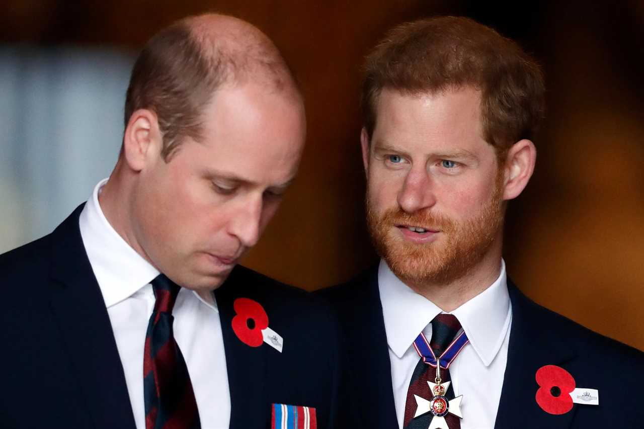 Analytical Reflection: Rosie Roche's Tragic Intersection of Royalty and Reality