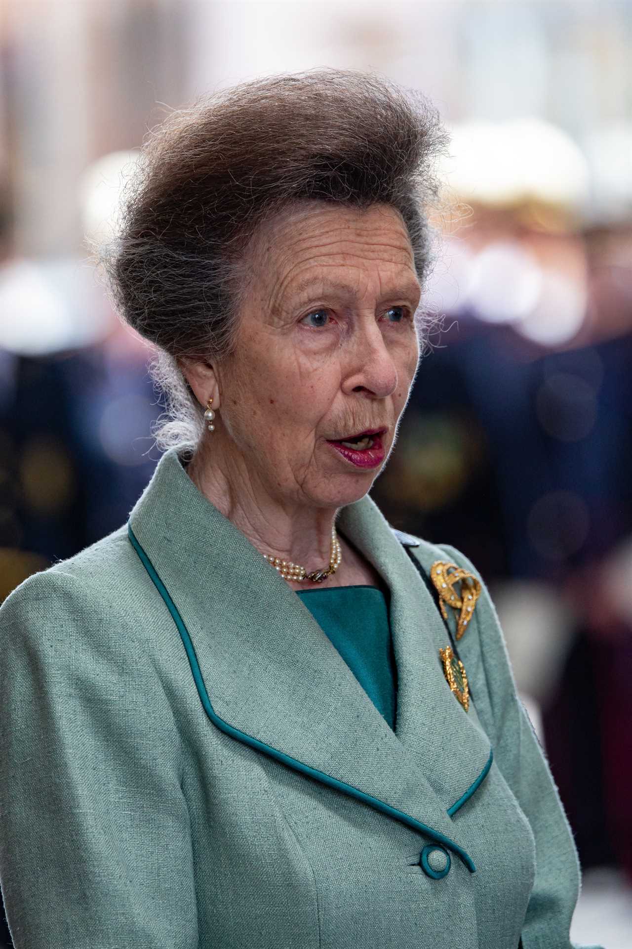 Can Princess Anne Bridge the Divide Among the Royals?