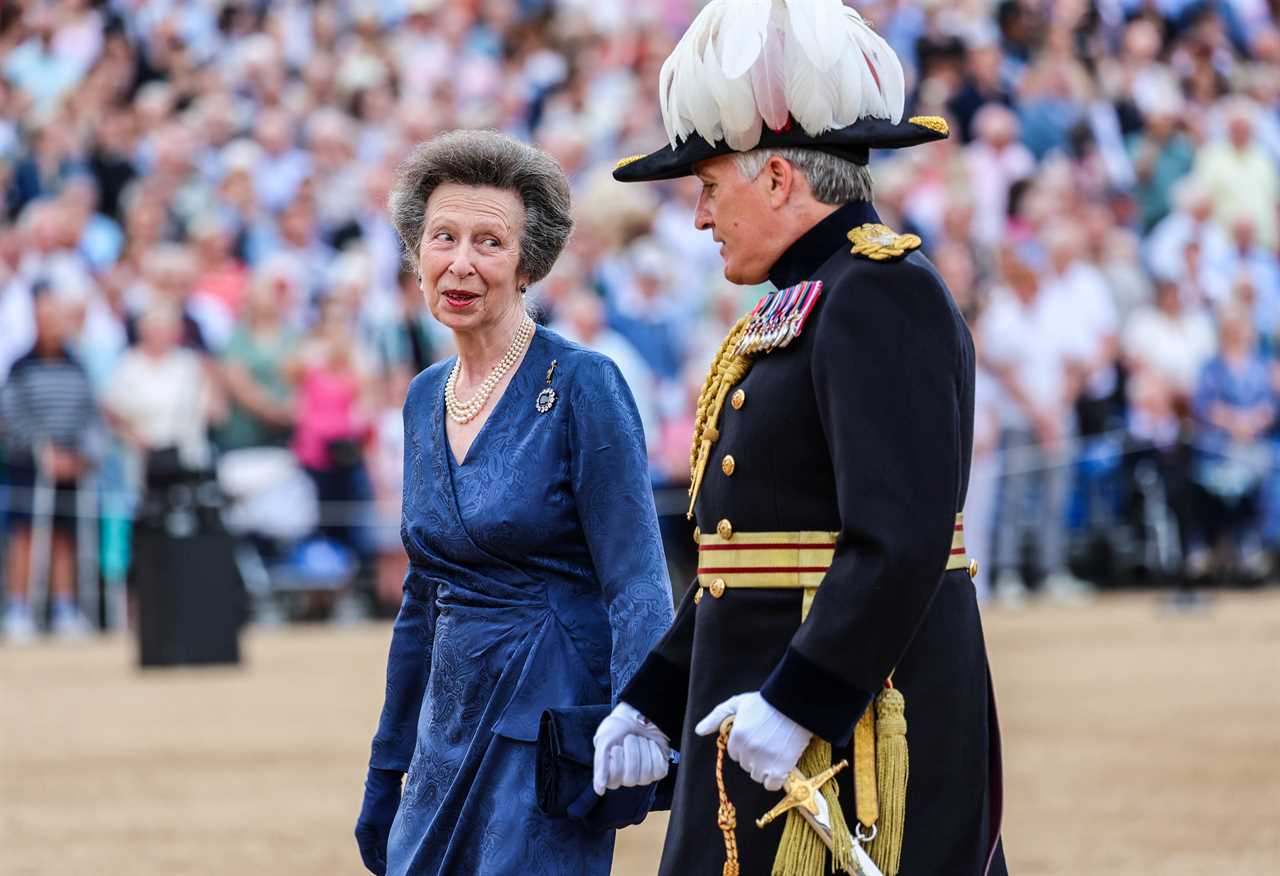 Can Princess Anne Bridge the Divide Among the Royals?