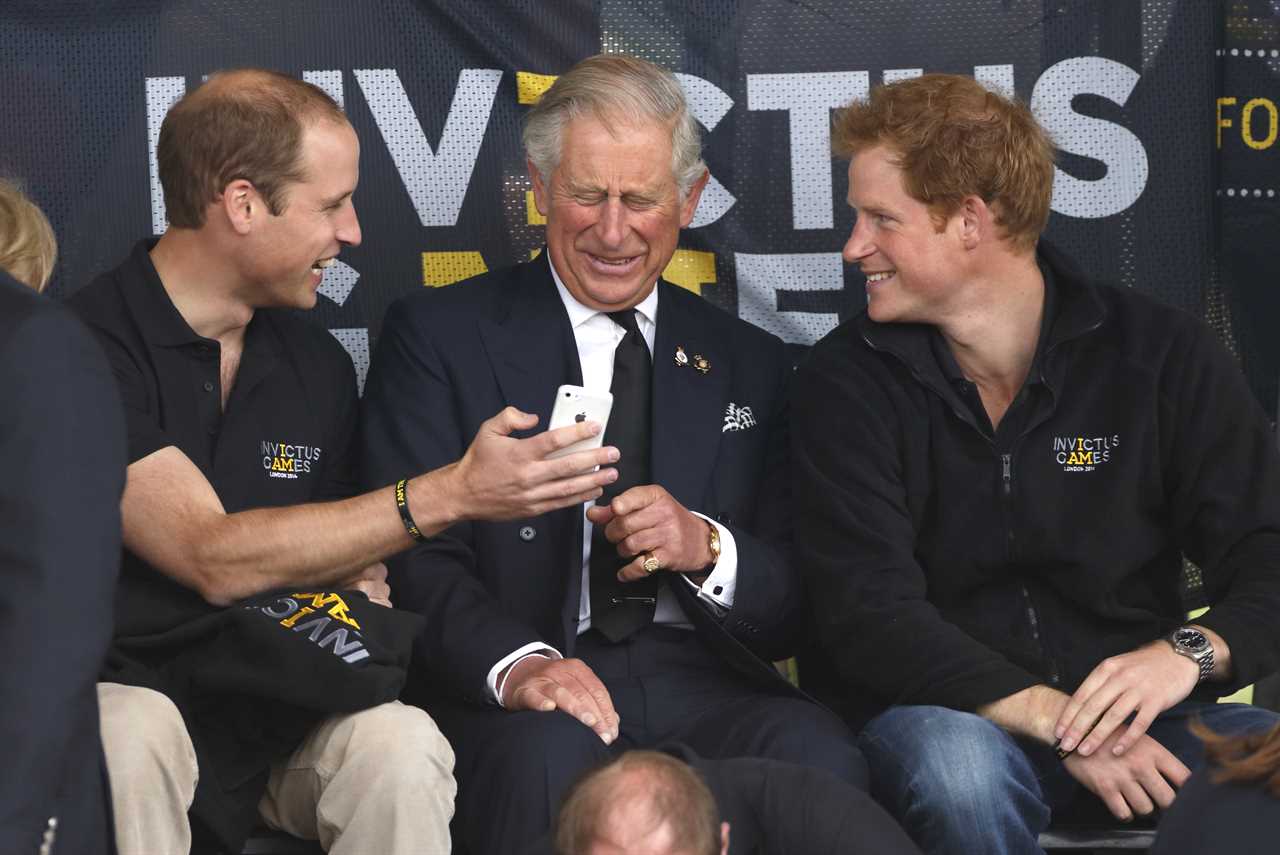 Prince Harry Faces Uphill Battle to Mend Royal Rift Amid Public Scrutiny