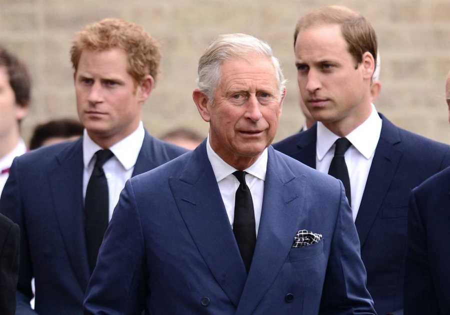 Prince Harry Faces Uphill Battle to Mend Royal Rift Amid Public Scrutiny
