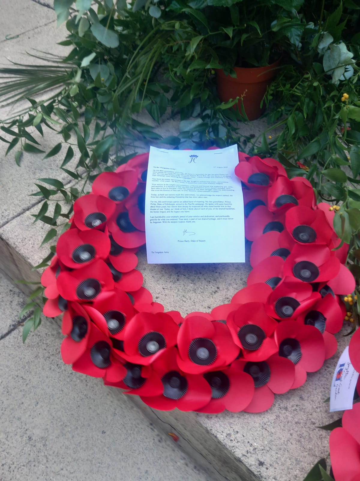 Prince Harry's VJ Day Tribute Sparks Debate Over Royal Protocol