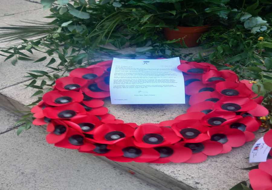 Prince Harry's VJ Day Tribute Sparks Debate Over Royal Protocol